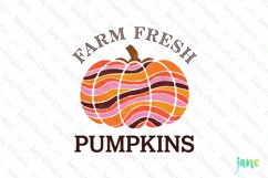Farm Fresh Pumpkins Boho Fall Autumn Clipart Product Image 1