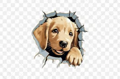 Baby Golden Retriever Dog Peeking Sublimation Clipart Product Image 2