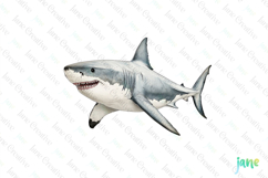 Great White Shark Carcharodon carcharias Watercolor Sharks Product Image 1
