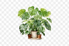 Houseplants Pot Sublimation Bundle Product Image 10