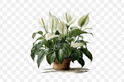 Houseplants Pot Sublimation Bundle Product Image 12