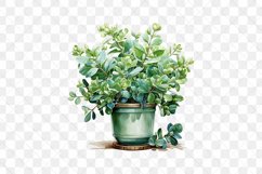 Houseplants Pot Sublimation Bundle Product Image 14