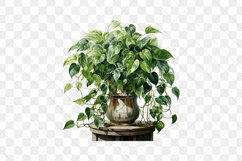 Houseplants Pot Sublimation Bundle Product Image 15