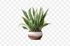 Houseplants Pot Sublimation Bundle Product Image 4