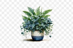 Houseplants Pot Sublimation Bundle Product Image 6