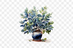 Houseplants Pot Sublimation Bundle Product Image 8