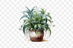 Houseplants Pot Sublimation Bundle Product Image 9