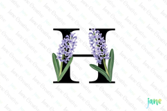 Hyacinth Letter H Clipart Product Image 1