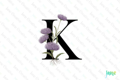 Knapweed Letter K Clipart Product Image 1