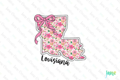 Louisiana Floral Coquette PNG - 50 States Design Product Image 1