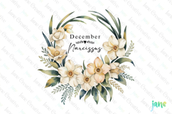 December - Watercolor Narcissus Birth Month Flower Clipart Product Image 1