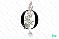 Oregano Letter N Clipart Product Image 1
