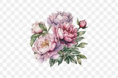 Peonies Watercolor Sublimation Clipart Product Image 3