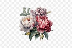 Peonies Watercolor Sublimation Clipart Product Image 4