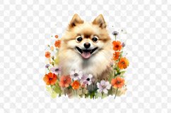 Pomeranian Dog Wildflowers Sublimation Clipart Product Image 2
