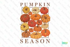 Pumpkin Season Boho Fall Autumn Clipart Product Image 1