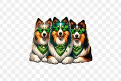 Patrick's Day Colorful Trio Rough Collie Product Image 2