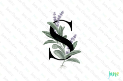 Sage Letter S Clipart Product Image 1