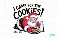 I Came For The Cookies Santa Christmas Quotes Sublimation Product Image 1