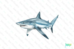 Shortfin Mako Shark Isurus oxyrinchus Watercolor Sharks Product Image 1