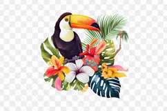 Tropical Bird Watercolor Sublimation Clipart Product Image 5