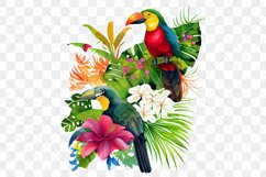 Tropical Bird Watercolor Sublimation Clipart Product Image 6