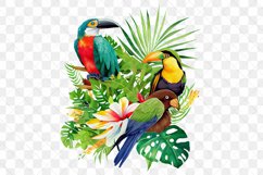 Tropical Bird Watercolor Sublimation Clipart Product Image 7