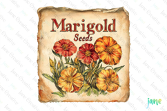 Marigold Seeds Vintage Flowers Clipart Seed Packet Product Image 1