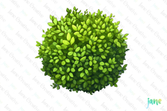 Watercolor Bushes Clipart Sublimation Product Image 1