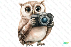 Owl Watercolor Cute Animals Photographer Product Image 1