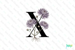 Xeranthemum Letter X Clipart Product Image 1