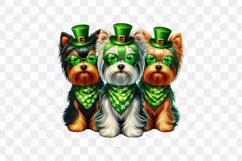 Patrick's Day Colorful Trio Yorkshire Terrier Product Image 2