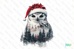 Double Exposure Christmas Snowy Owl Clipart Product Image 1