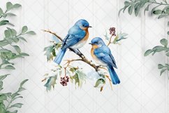 Snow Bird Couple Sublimation Clipart Product Image 1