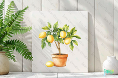 Watercolor Lemon Clipart PNG File Product Image 3