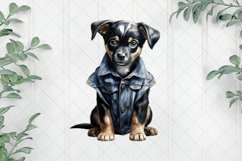 Beautiful Dog In Jeans Sublimation Clipart Product Image 1