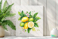 Watercolor Lemon Clipart Product Image 3