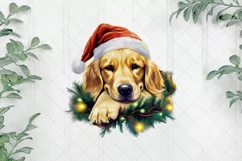 Lazy Golden Retriever Dog At Christmas Clipart Product Image 1