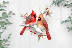 Snow Northern Cardinal Sublimation Clipart Product Image 1