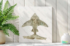 Angel Shark Squatina squatina Watercolor Sharks Clipart Product Image 3