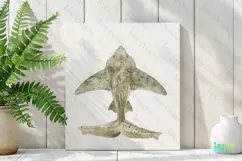 Angel Shark Squatina squatina Watercolor Sharks Clipart Product Image 3