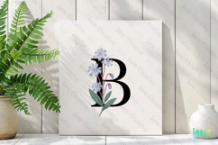Borage Letter B Clipart Product Image 3