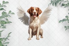 Angel Brittany Dog Sublimation Clipart Product Image 1