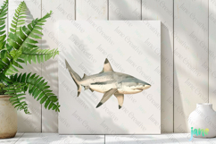 bull shark Watercolor Sharks Clipart Product Image 2