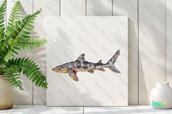 Collared Carpet Shark Parascyllium variolatum Watercolor Product Image 2
