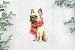 Cold-Weather French Bulldog Sublimation Clipart Product Image 1