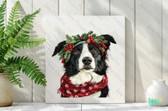 Border Collie Dog Old Vintage Christmas Sublimation Product Image 2