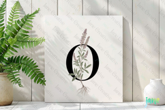 Oregano Letter N Clipart Product Image 3