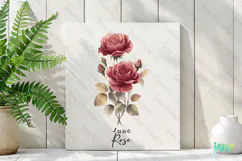 June - Watercolor Rose Birth Month Flower Clipart Product Image 2