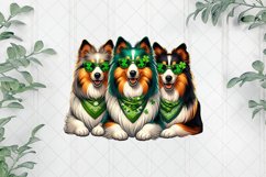 Patrick's Day Colorful Trio Rough Collie Product Image 1